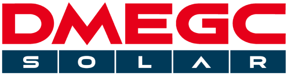 Logo - DMEGC